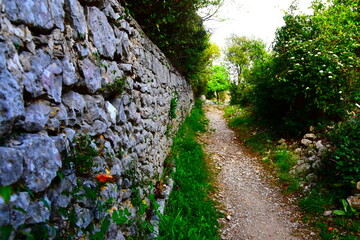 Chemin et muret dans la nature