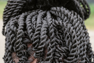 Afro braids hair style. Black dreadlocks close-up on woman head. Back view. - Powered by Adobe