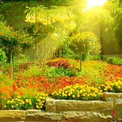 Bright flower bed with flowers