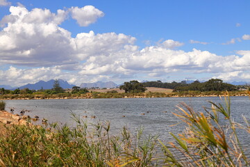 A view over a dam in Durbanville, near Cape Town, South Africa.