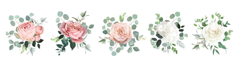 Blush pink garden roses, white hydrangea flowers, eucalyptus vector design bouquets