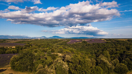 Aerial landscape with nature park and blue sky with clouds.
