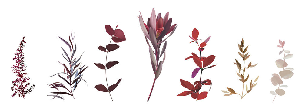 Burgundy red tropical leucadendron, eucalyptus, dark agonis, astilbe stems