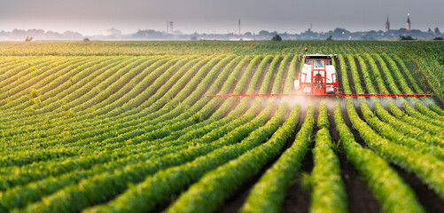 Tractor spraying soybean field at spring - obrazy, fototapety, plakaty