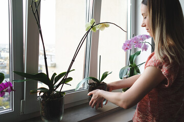 Young beautiful woman arranging an orchid flower glass pot in the house © arthurhidden