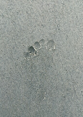 Fototapeta na wymiar Child's foot print in sand