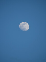 daytime moon