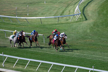 Horse racing close up