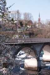 Rhine Fall Bridge