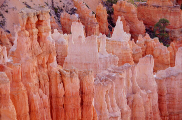 Bryce canyon national park Utah, USA