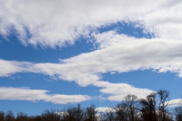 The white cloudscape in the blue sky.