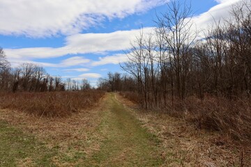 The long empty grass trail in the country on a sunny day.