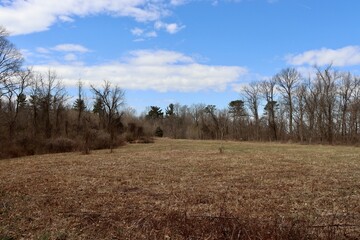 The grass field with the blue sky and white clouds.