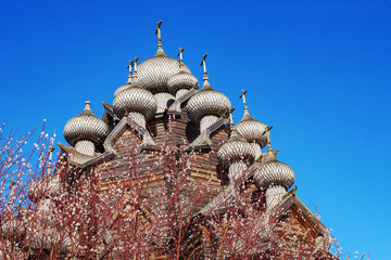 wooden domes of the Intercession Cathedral and blooming mimosa branches against the blue sky