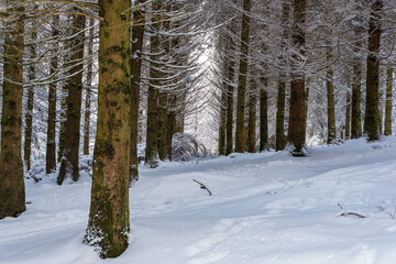Fototapeta premium Snow over Urkiola natural park