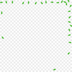 Fototapeta premium Greenish Plant Background Transparent Vector. Greenery Cosmetic Texture. Border Card. Green Isolate Design. Leaves Realistic.