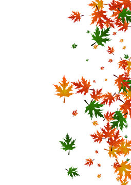 Brown Leaf Background White Vector. Leaves Seasonal Design. Orange Paper. Realistic Frame. Red Maple Canadian.