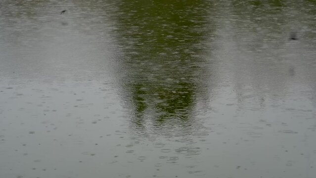 Fondo abstracto con movimiento de gotas de lluvia que caen en un río con pájaros volando