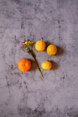 Still Life lemons, oranges and flowers composition in a dark stone background
