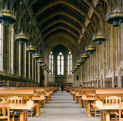 Afternoon light filters in to an old library with tables, lamps and bookshelves