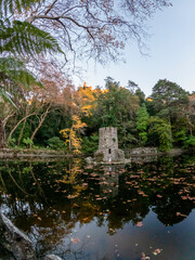 Pond in the garden of Palace of Pena, Jardins do Parque da Pena in Sintra, Lisbon, Portugal