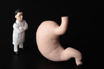 miniature figurine of a doctor with a giant stomach on a black background