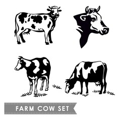 Farm cow set. Silhouette of a pet is printed on a white background. Hand-drawn vector illustration.