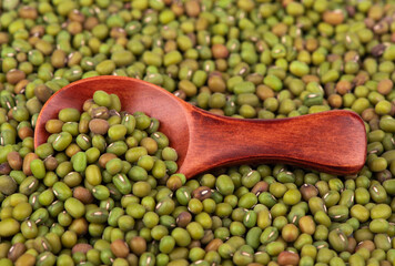 Green mung bean scattered in a scoop on white background.