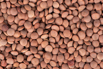 Dry Organic Brown Lentils against on white background. Healthly food. Legumes. 