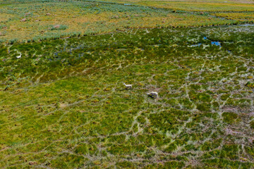 Laguna Inka Coya in Chile | Luftbilder von der Laguna Inka Coya