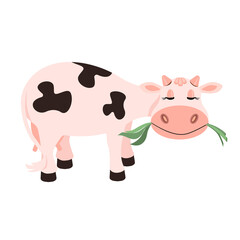 Cartoon white cow with black spots chewing grass on a white background.Vector illustration can be used in packaging of dairy products, textiles.