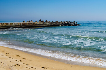 Fototapeta na wymiar Sandy beach with boulders and sea foam. Natural sea landscape photo.