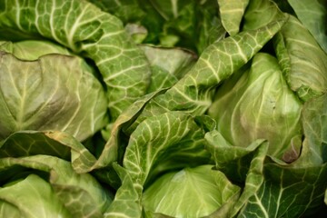 green cabbage