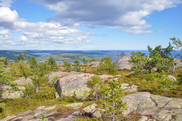 Fototapeta na wymiar Hiking trail in Skuleskogen National Park, Sweden, near Tärnättvattnen lake on sunny summer day 