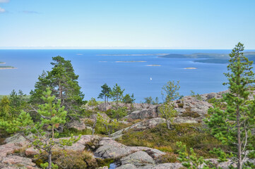 Fototapeta na wymiar Hiking trail in Skuleskogen National Park, Sweden, near Tärnättvattnen lake on sunny summer day 