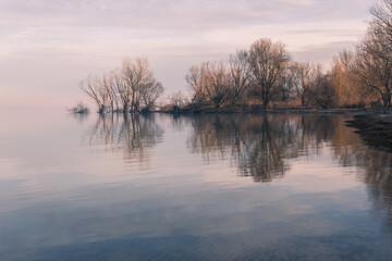 Perfectly symmetric trees reflections on a lake