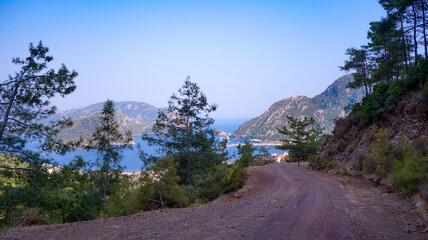 black sea view from the mountains through the branches of trees. tourism. trips. the mountains