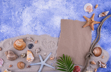 Summer nautical marine background with shell