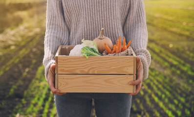 Woman with local organic food on agricultural field area. Customer or farmer with wooden box of vegetable at local farm market outdoors. Sustainable shopping without plastic. Small business concept.