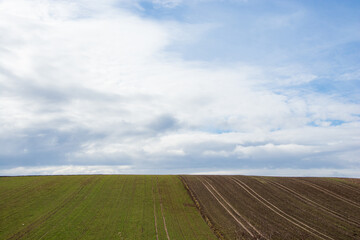 green and brown farmland, blue sky in the background