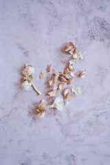 still life garlics in a  modern stone background