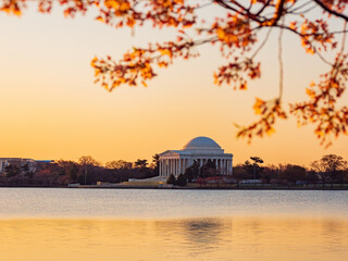 Obraz premium Sun rise view of the Thomas Jefferson Memorial with cherry blossom