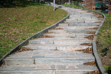 park: avenue with stone steps in the shape of a double curve. The staircase next to it has a lawn with flowers and plants at the edges.