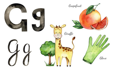 Watercolor illustration