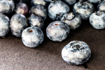 Blueberries in the black. Calgary, Alberta, Canada