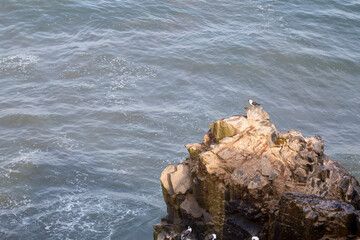 The Cerro Azul district is one of the sixteen that make up the province of Cañete located in the department of Lima on the central coast of Peru. Within the ecclesiastical division of the Catholic Chu