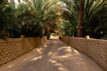 Al Ain oasis with its great wilderness