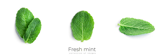 Fresh, green mint leaves on a white background.