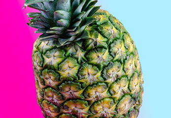 Semi-ripe pineapple, sweet taste, called honey gold in Colombia, isolated on colorful background. It is used in various preparations and mainly raw. Vegetarian, high in vitamins. Anana