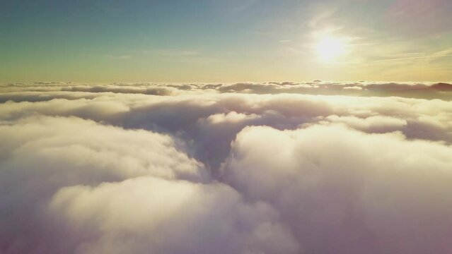 4K Drone flies in the clouds. Flight through the clouds during sunrise, top view of the clouds from the drone. National Park Shipit Karpat. Carpathians, Pylypets, Ukraine. 